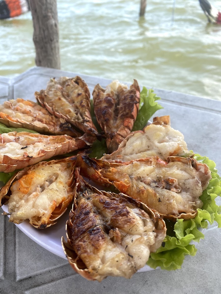 Barraca Do Darlan Photos 2